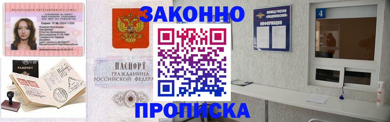 прописка в квартире в Палласовке